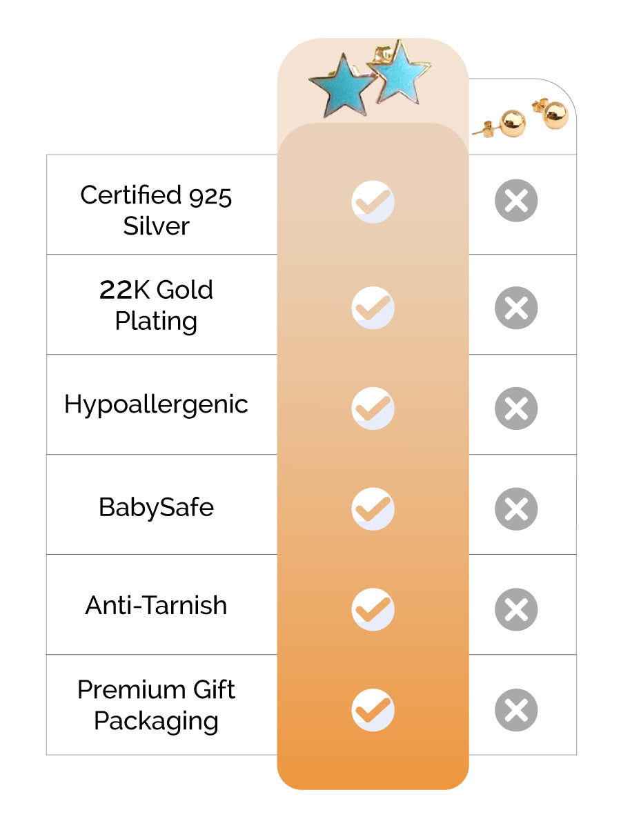 Glistening Star Silver Earrings feature image